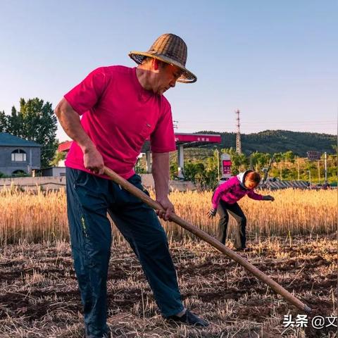 长城基金：“谷子经济”站上风口，究竟有何魅力？