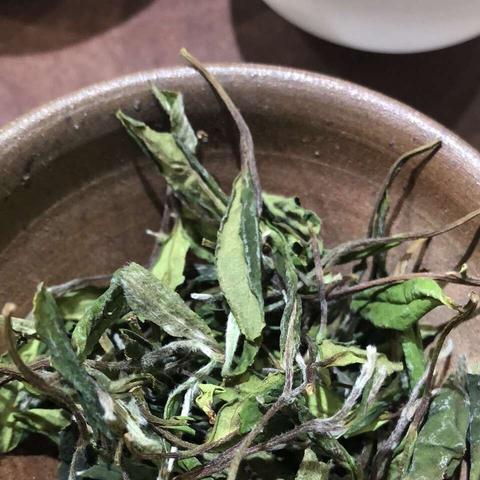 大叶种白茶的口感特点？