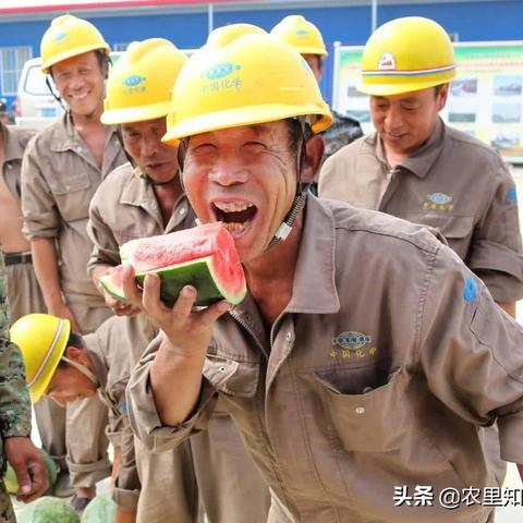 福建361工资怎么样