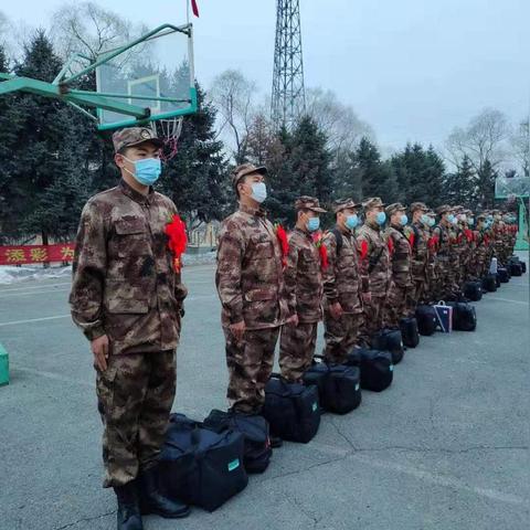 老哈尔滨市8区都是哪些