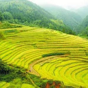 长沙市什么时候解除高温