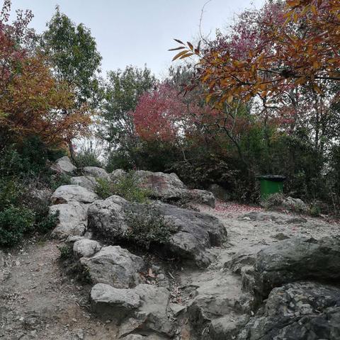 无锡市鸿山镇哪里好玩