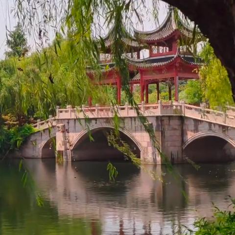 关于上海历史天气查询相关关键词有哪些