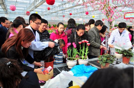 长春最大鲜花批发市场,长春长生这种级别的大公司为什么还会造假疫苗自毁前程?