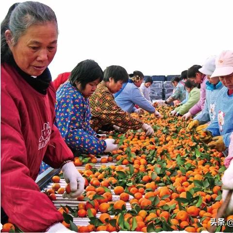 家具膜桂林市哪里有卖