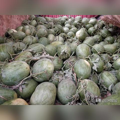 河北省邯郸市葡萄产地的长尾关键词有哪些