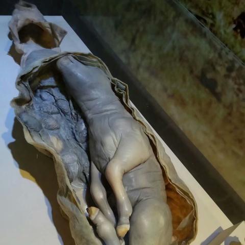 大连市看胎儿医院哪个好