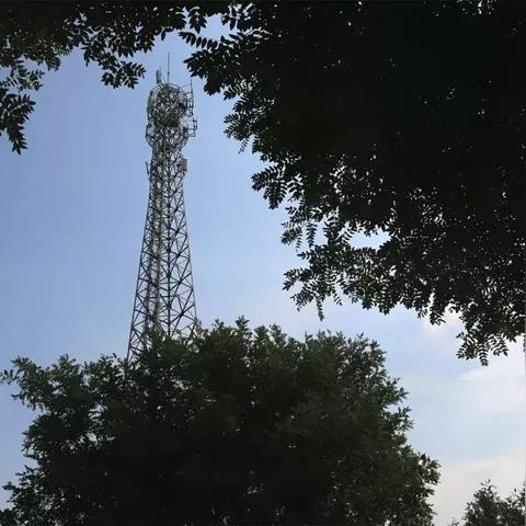 河北跨境电商区号是多少