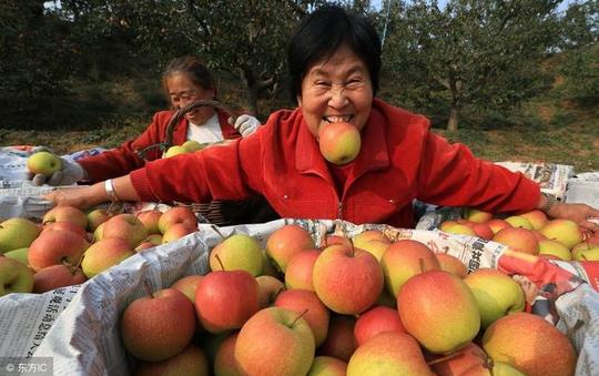 什么食物都不放心？自己种！一边挣钱一边养生！