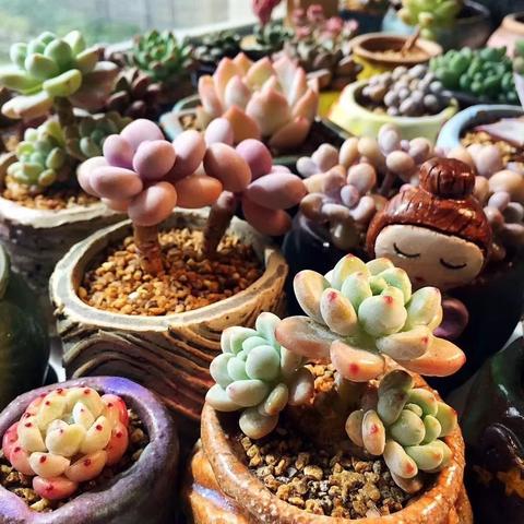 江西赣州市残疾人画家罗琦的长尾关键词有哪些