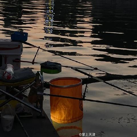 天津哪个河段钓鱼