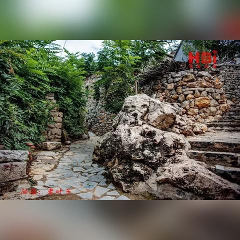 河南哪个地方吃驴有名