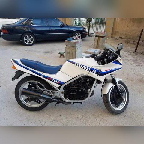 厦门望春风nk的相关长尾关键词有哪些