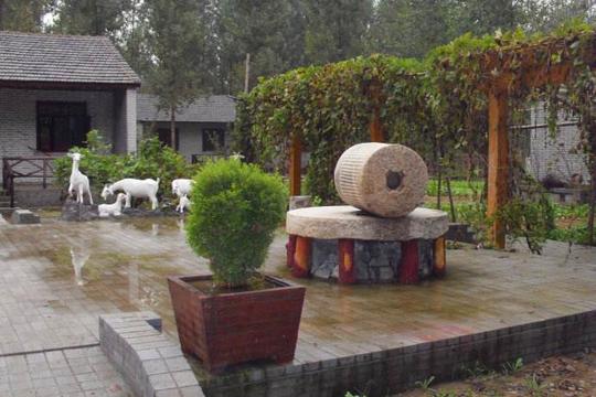 专家建议农民返乡创业可干这2种买卖，老农：别信，谁干谁赔！