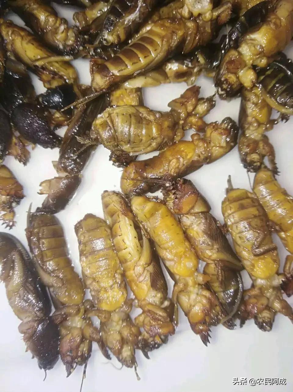 什么美食可以解头痛（吗丁啉有什么作用）