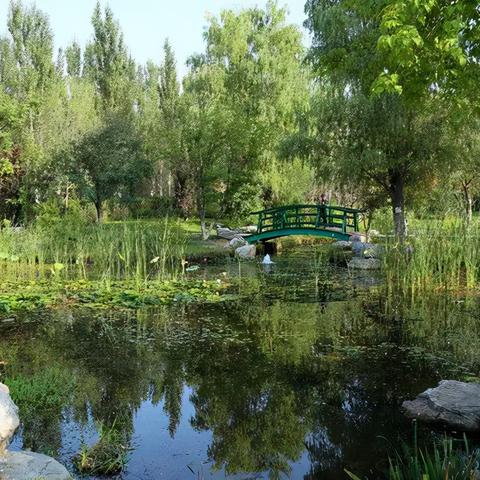 广州佛山市莫奈花园在哪里