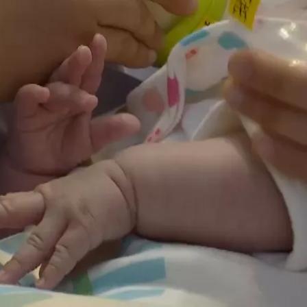 昆明市犬领养的长尾关键词有什么