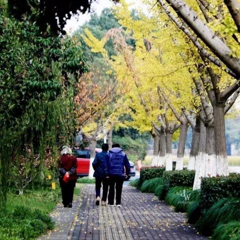 苏州市有个什么路