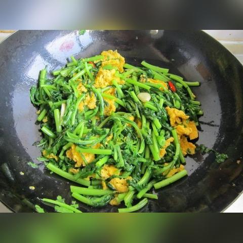 浙江省宁波市什么炒鸡蛋