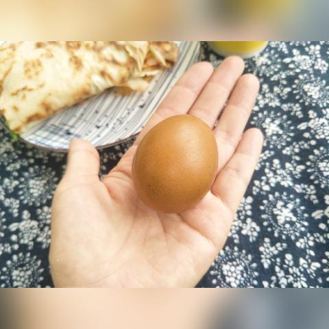 济南市早餐最全的饭店有哪些