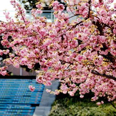 临沂市清明假期游玩景点的长尾关键词有什么