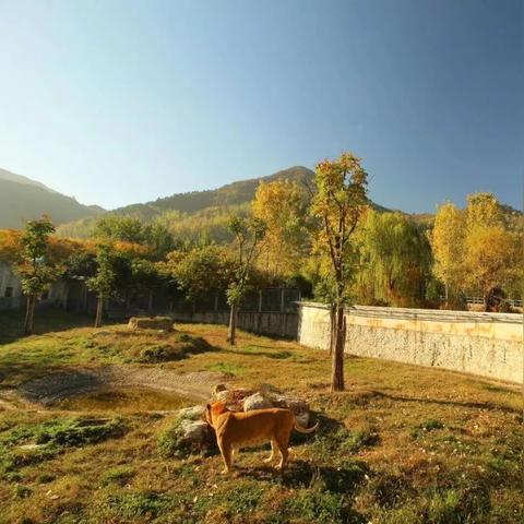 西安秦岭野生动物园怎么走相关长尾关键词有哪些