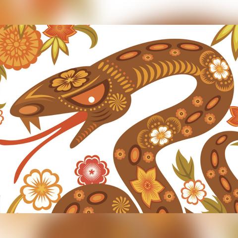 农历十二生肖每月运势如何(十二生肖农历月份命运吉凶详解)