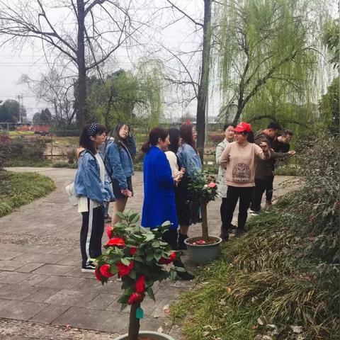 tiktok 金华 衍生的长尾关键词有哪些 