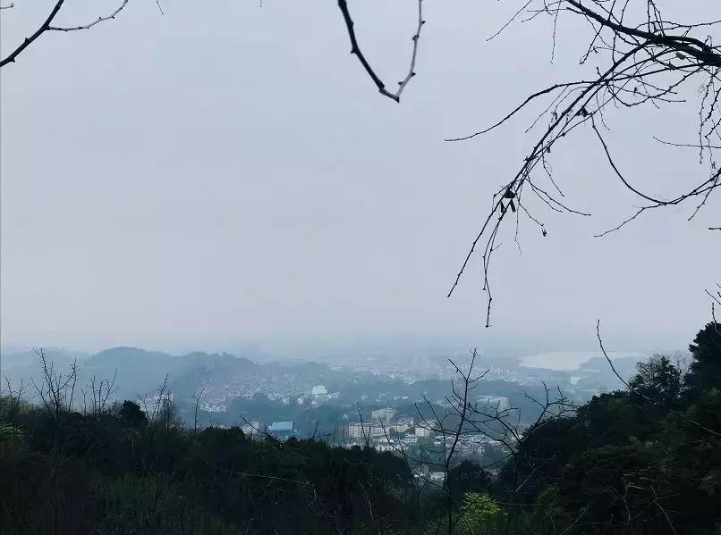 峨眉城区有什么美食（峨眉山有什么特产）
