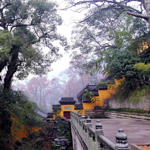 杭州的灵隐寺在什么地方啊？