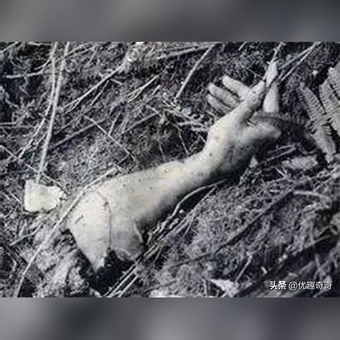 桂林碎死案相关长尾关键词有哪些