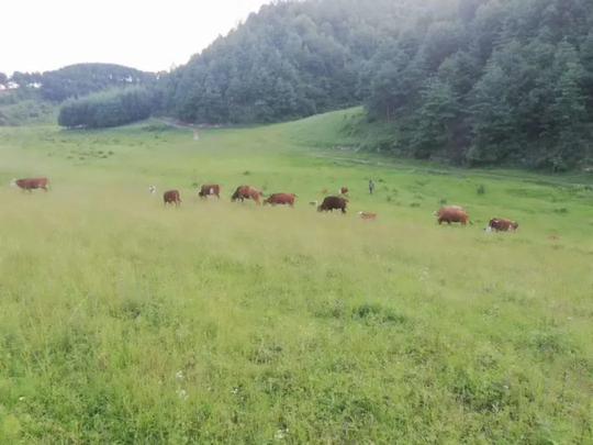 陕西最值得去小众旅行地！西安周边冷门又好玩的地方推荐