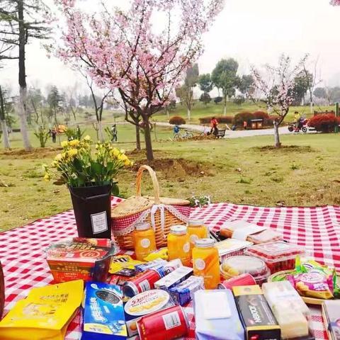 合肥适合野餐相关长尾关键词有哪些