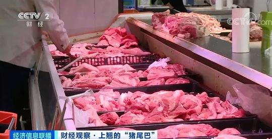突然，猪肉价格反弹！房企抢滩！卖猪比卖房挣钱？