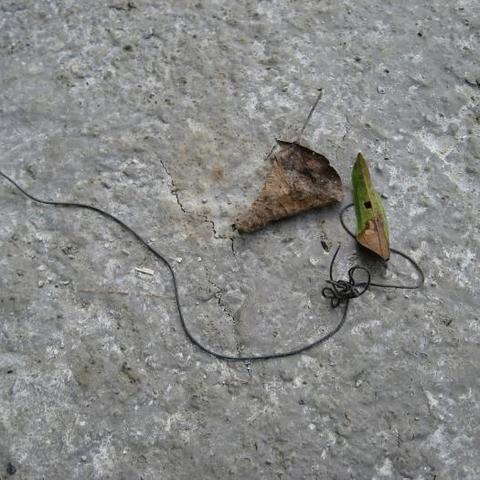 恐怖电影片的长尾关键词有哪些