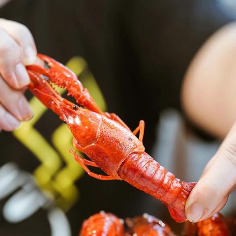 桂林市哪些工厂待遇最好