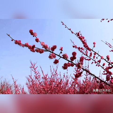 武汉市去淮北坐什么车