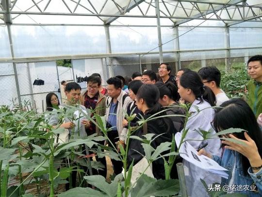 铭途农业：2019年，哪五种农业创业项目最好，最有前途吗？