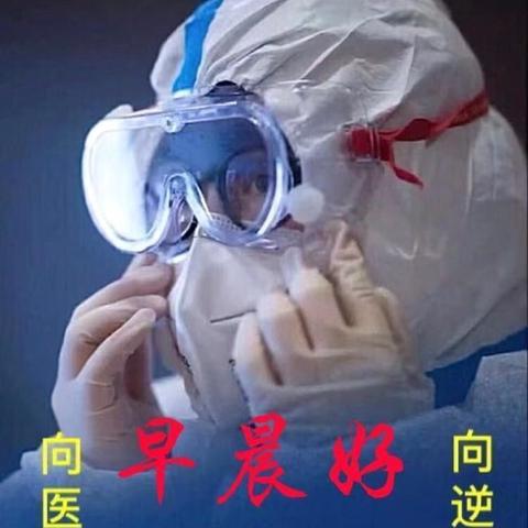 武汉市什么市没有疫情