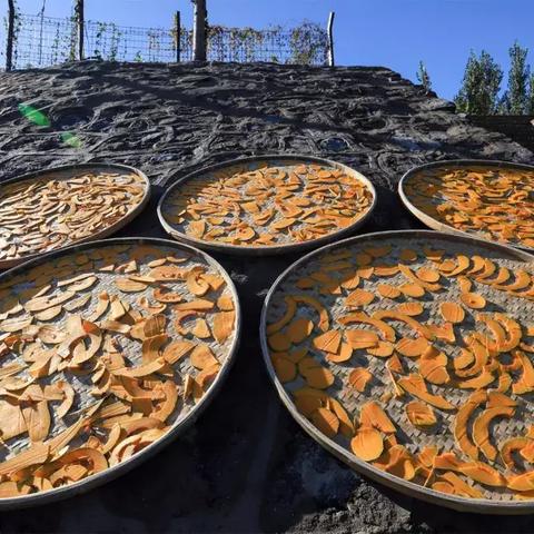 保定市批发干果的长尾关键词有哪些