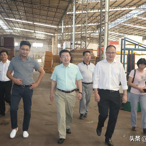 粤x牌照是广东省佛山市的吗的长尾关键词有什么