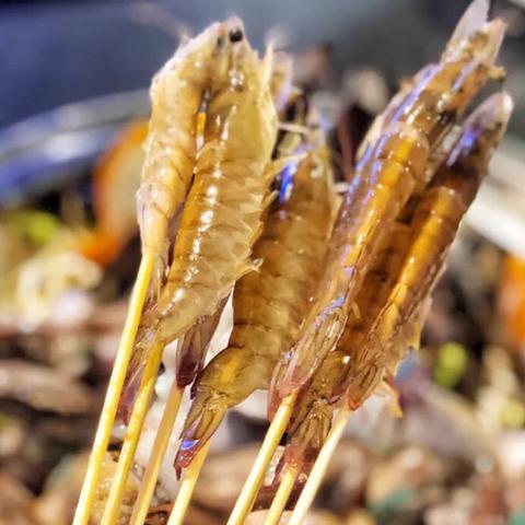 宁波市朝晖路是哪个区