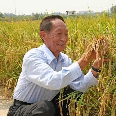 合肥湘合盟物流相关长尾关键词有哪些