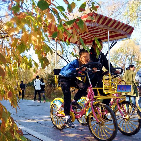 哈尔滨中学划船视频相关长尾关键词有哪些