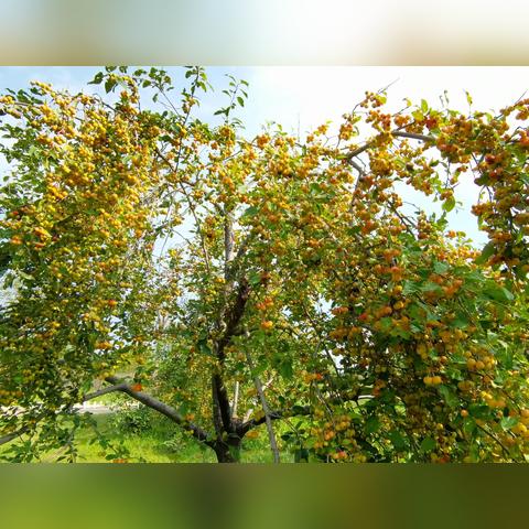 潍坊市湿地管理办法的长尾关键词有什么