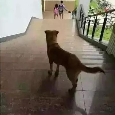 东莞市职业装哪里拍