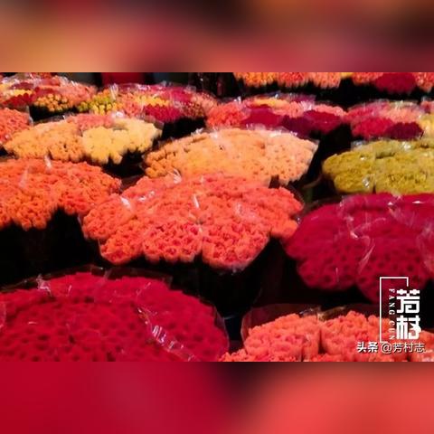 广州市芳村区有多少人口