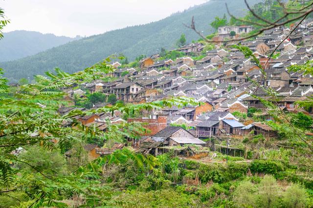 清远瑶寨有什么美食（在清远去哪里旅游好）