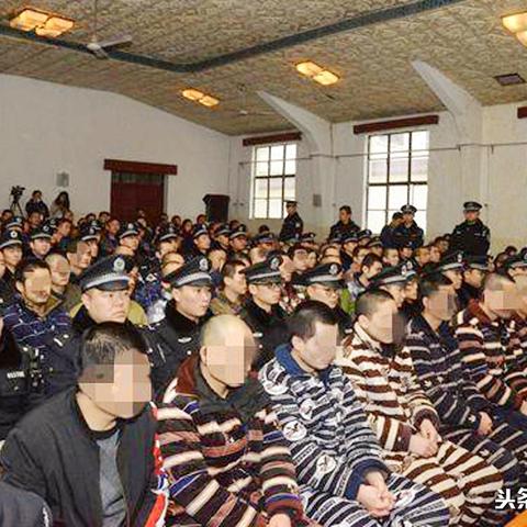 陕西跨境进口哪里有