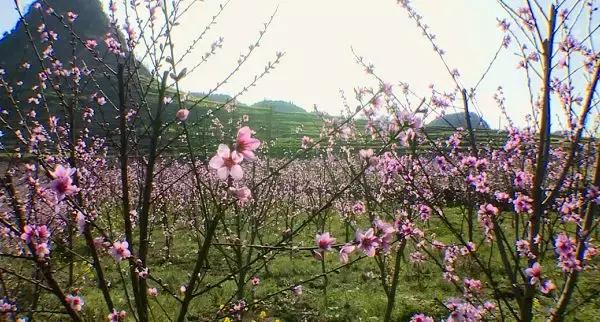 春天宝宝易得红屁屁